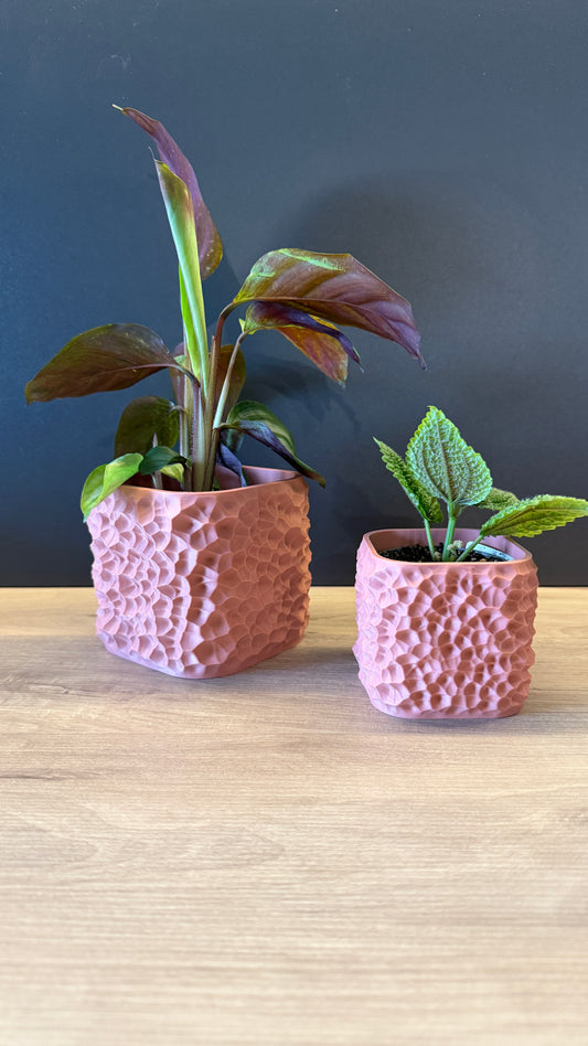 2 x Blumentopf Strukterino