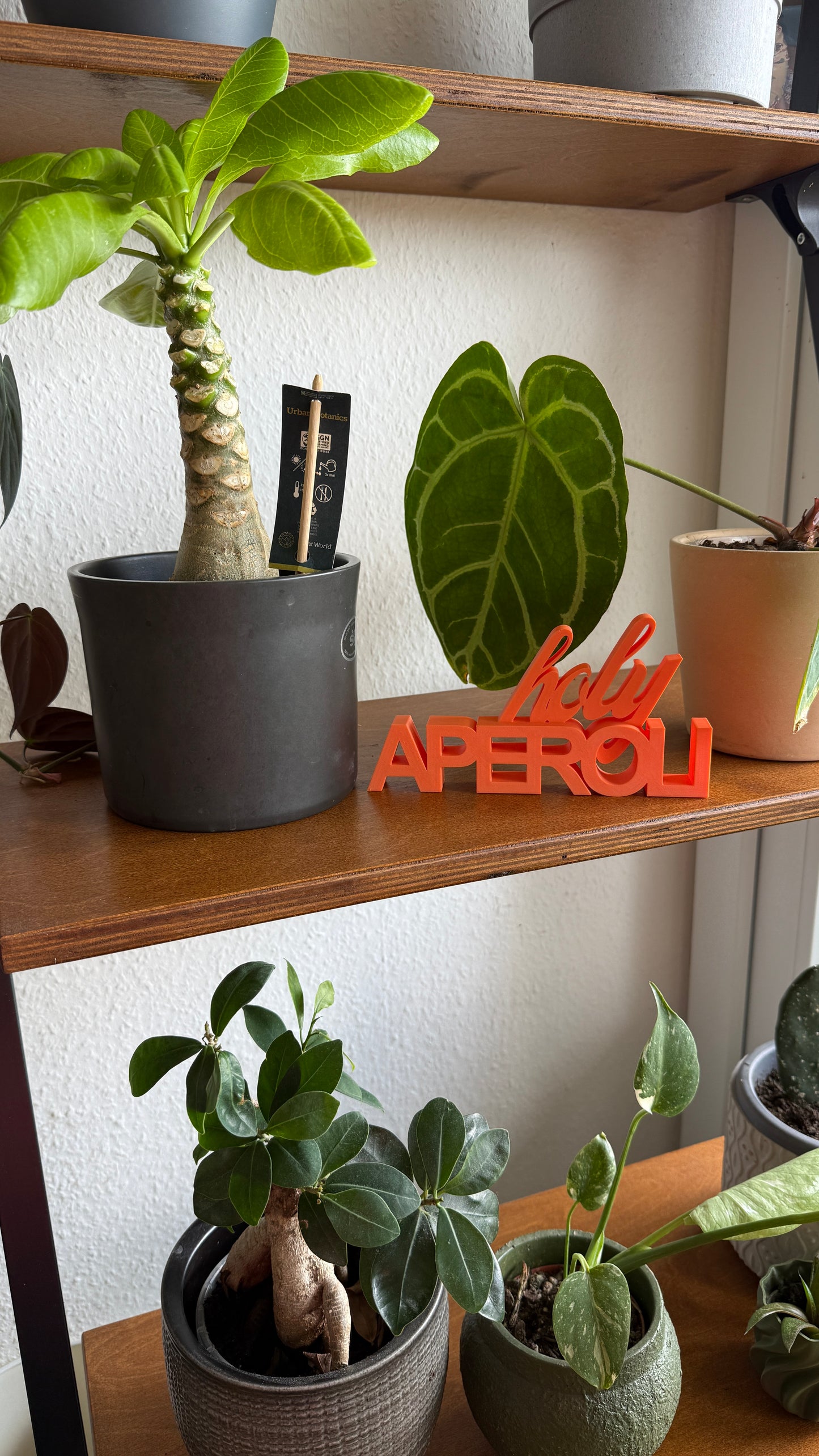 HOLY APEROLI – Der stylische Hingucker für deine Hausbar
